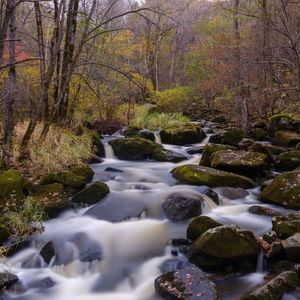 《钢琴白噪音里的入眠之境》037