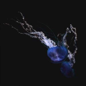 間に合わない僕ら