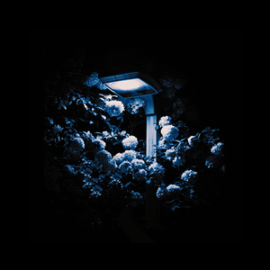 Vi skal ikkje sova bort sumarnatta