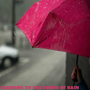 Pluviophile's Dreams