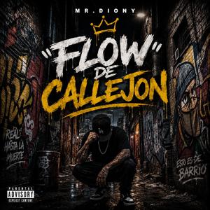 Flow De Callejon