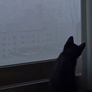 依旧待人真诚 只是不再期待