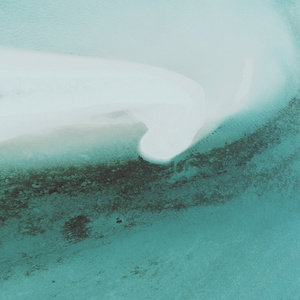 솔직하지 못 해