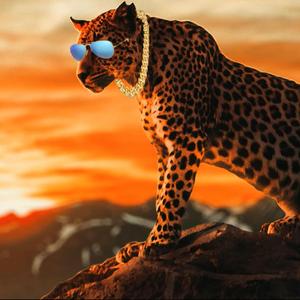 Forbidden Love (AJ Remix)