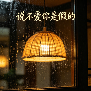 说不爱你是假的