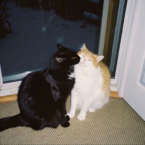 或许时间不对或许我不对