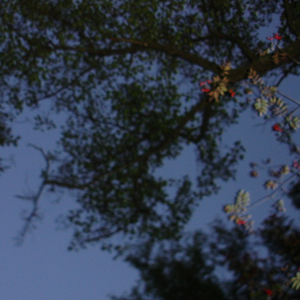 Maborosi (feat. T1MB3R)