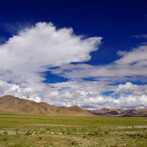 愿你像高原的风一样自由