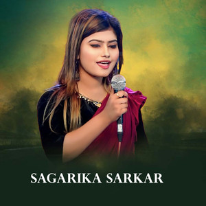 Pother fokir (Singel)