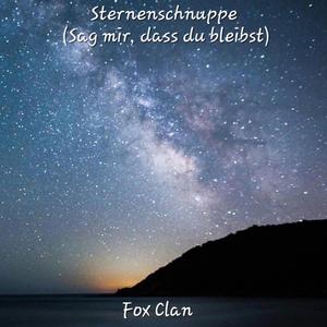 Sternenschnuppe (Sag mir, dass du bleibst)