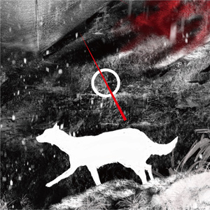 枪响之后（After the gunshot）