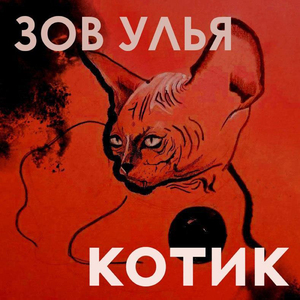 Котик