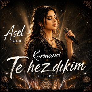 Kurmanci Te Hez Dıkım