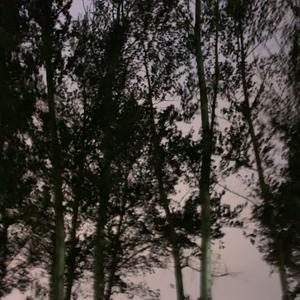 平淡日子里的刺片段