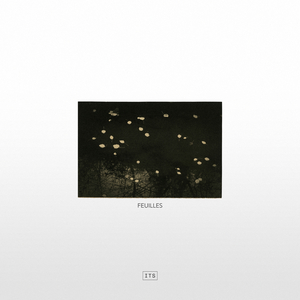 Feuilles