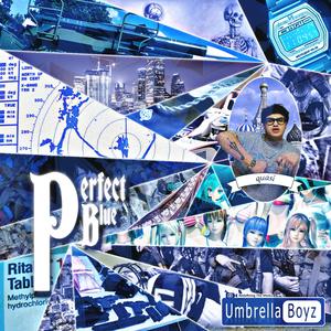 NOTHING LASTS TOO LONG (feat. Hatsune Miku)