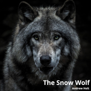 The Snow Wolf (Instrumental)