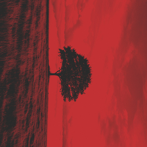 Ladybird (I Want to Fly), Pt. 2