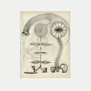 We Are Not Machines: Body Made of Stars