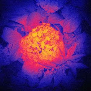 #FFF：Travis Scott&JACKBOYS (Instrumental)