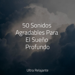 Relájate en Armonía