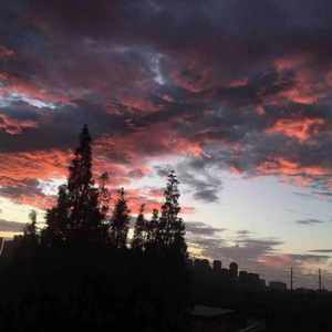 Love In Melody prod.BLACKFAT