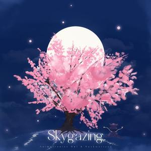 Skygazing