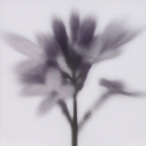 Сирень (Acoustic)