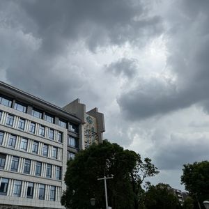 囿于以桦（Prod.by Lyoung）