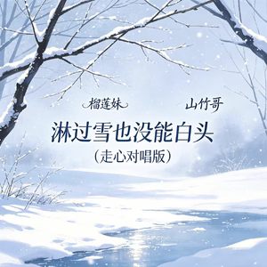 淋过雪也没能白头（走心对唱版）