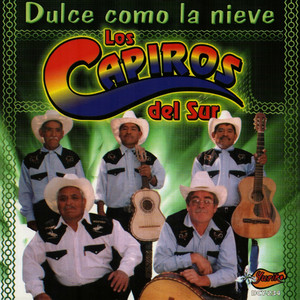 Piquetes De Hormiga