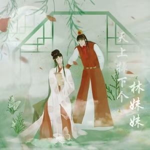 天上掉下个林妹妹【全网最绝翻唱】