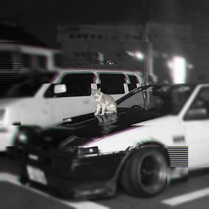 kitty phonk（Instrumental TimYumix)