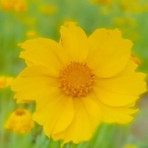 还是那个夏天