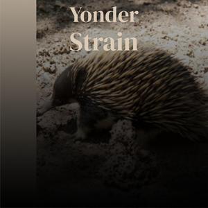 Disaster Meteorological