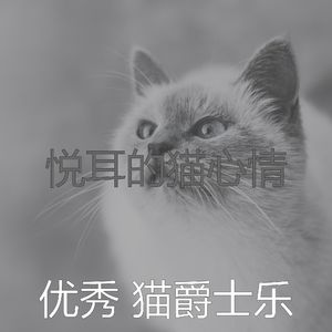 抚慰的猫在家回忆