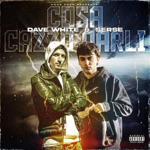 Cosa cazzo parli (feat. Serse)