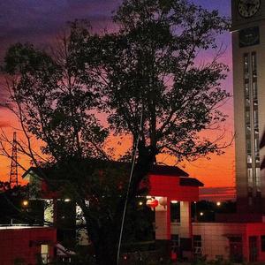 春风没到的夜晚