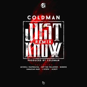 Just Know (feat. McSkill ThaPreacha, Dev the Follower, Qsberg, Jamaican Haze, J-Steph & Legendary Script) (Remix)