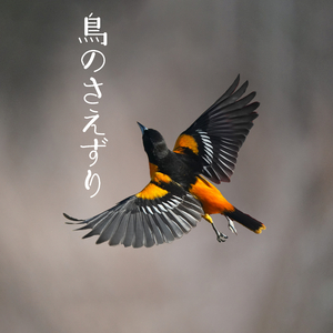 鳥のさえずり