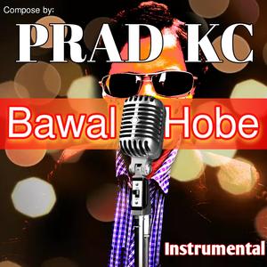 Bawal Hobe (Instrumental) (Instrumental)