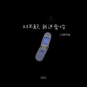 对不起，我还爱你 (1.2释怀版)