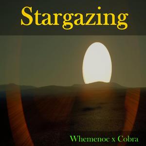 Stargazing (feat. TheCobra)