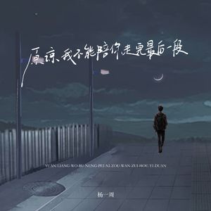 原谅我不能陪你走完最后一段