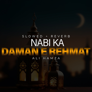 Nabi Ka Daman E Rehmat Lofi