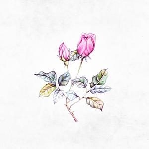 have you found what you are looking for?