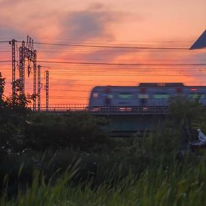 台风（cover.郁一凡）