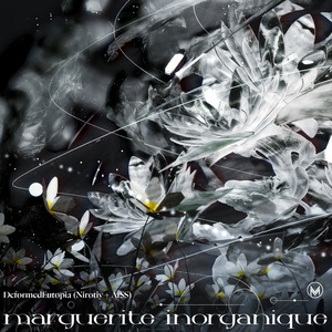 marguerite inorganique