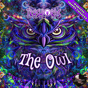 The Owl (Original Mix)