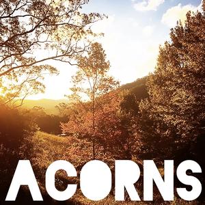 Acorns (What to Do When the Sky Is Falling)